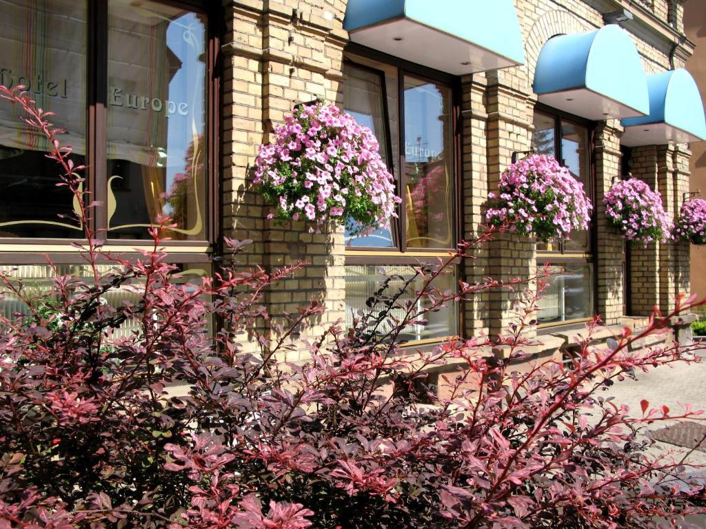 Hotel Europe 萨维尔纳 外观 照片